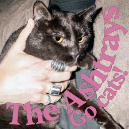 The Ashtrays - Go Cats